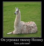 IMG_20200621_033344_560.jpg