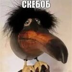 IMG_6101.jpeg