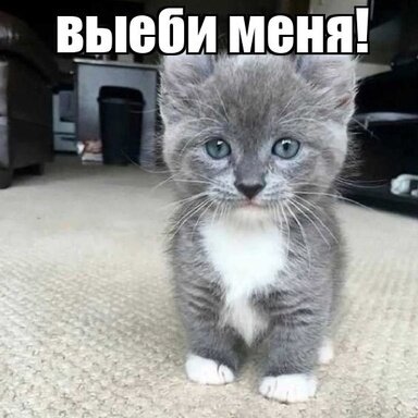 что это за хуйня - Nixware.cc - Enjoy perfect performance