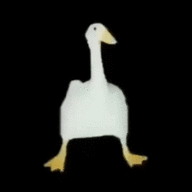 resqhvher