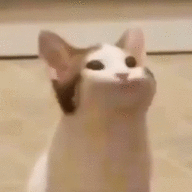 Kromsel