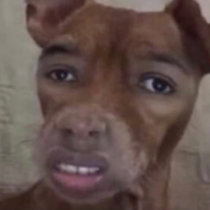 raschbit