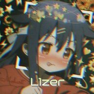 L1zer