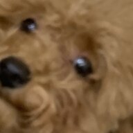 HJIEB