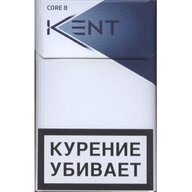 realniykent8