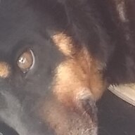 darkgoed