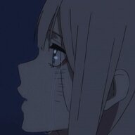 17319985048