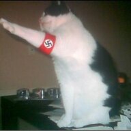 dipperhvh