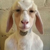Muqa