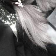 dlxlsqd