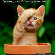 yasdnf