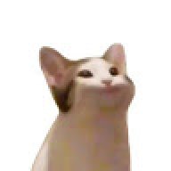 qqqq94