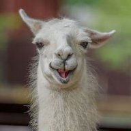 dillema