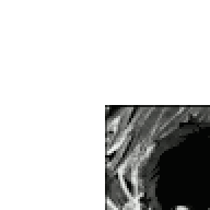 Toxic13371337