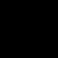 Chinazec