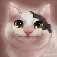 NedStrex01