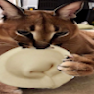 zxcrom4ik28383