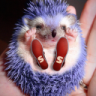 voltashka