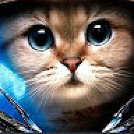 kosmo_kot_tv