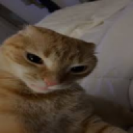 deokseoPL