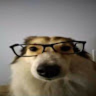 tyzolog69