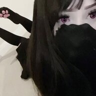xvcxvc