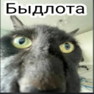 sdfg