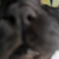 SSgamerNL