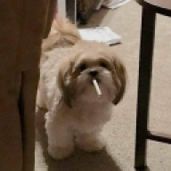 kyaa