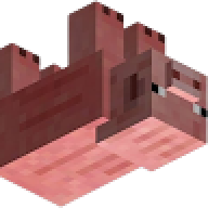 mdvzbtw