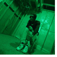 normy1
