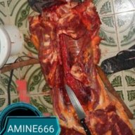 vieve99