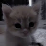 artem24141421412412