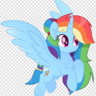 Pony_Lover<3