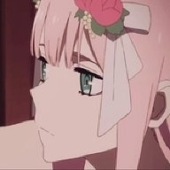 3388586327