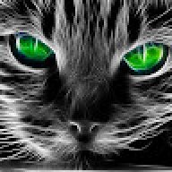 Angel_Niff