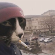 bansheeqwee