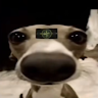 ddosama2213