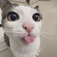 metti