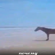 dfcvdfcxgvbvxcdfh