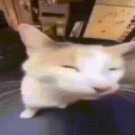 Pan_Proseknegry