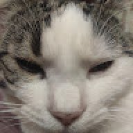 MANKI