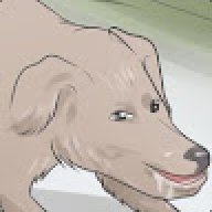 8D8D8D