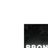 BroneBoyTV