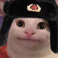 Viodat