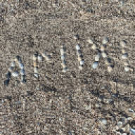 Arlixll