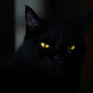 nNENNNASDFH