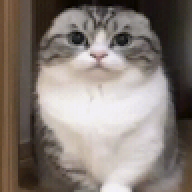 qagihgqeg