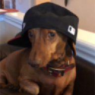 pedrogato131