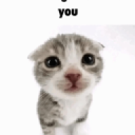 tesadasdasdas